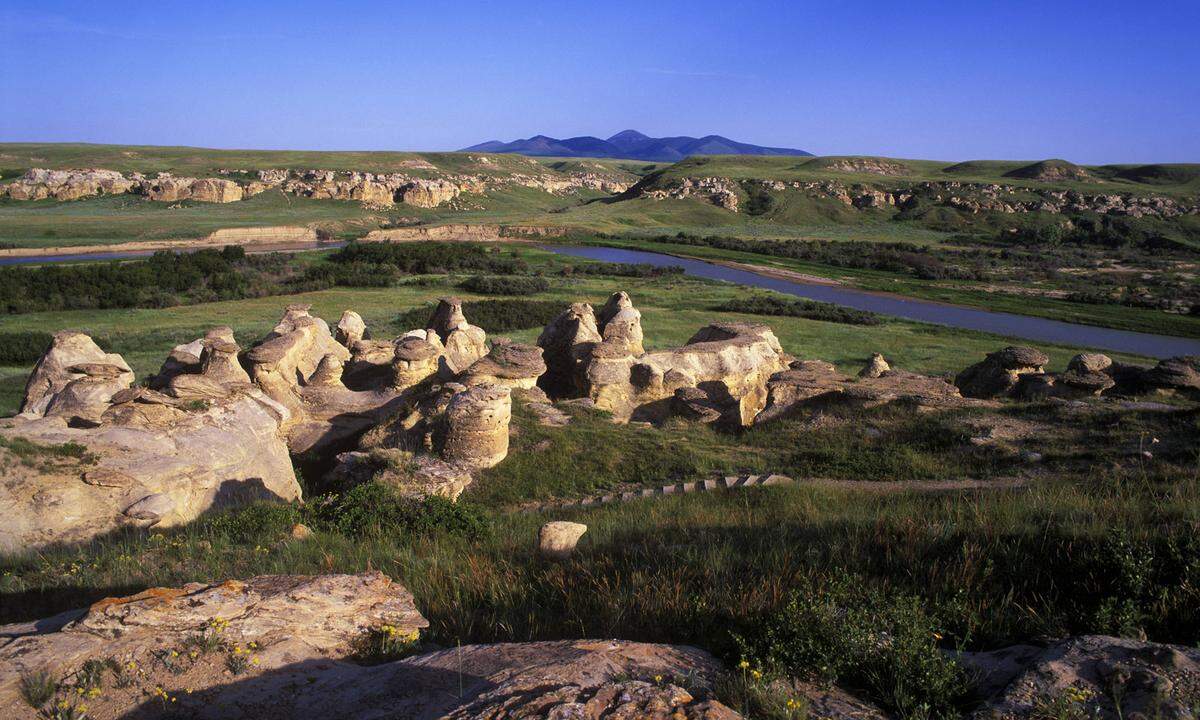 Im Milk River Tal in der kanadischen Provinz Alberta im Norden der Great Plains prägen uralte, verwitterte Sandsteinsäulen die Landschaft. Hier hinterließen die Siksikáítsitapi, die auch als Blackfoot bekannt sind, Gravuren und Malereien auf Sandsteinwänden.