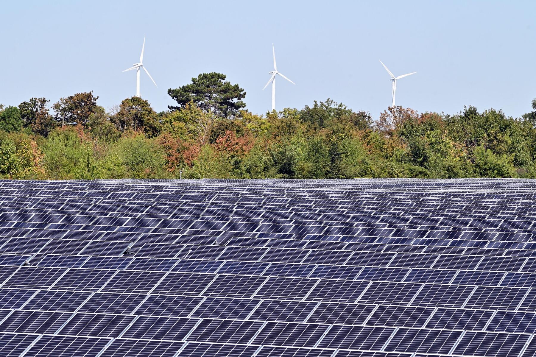 Die Legende vom billigen Ökostrom [premium]