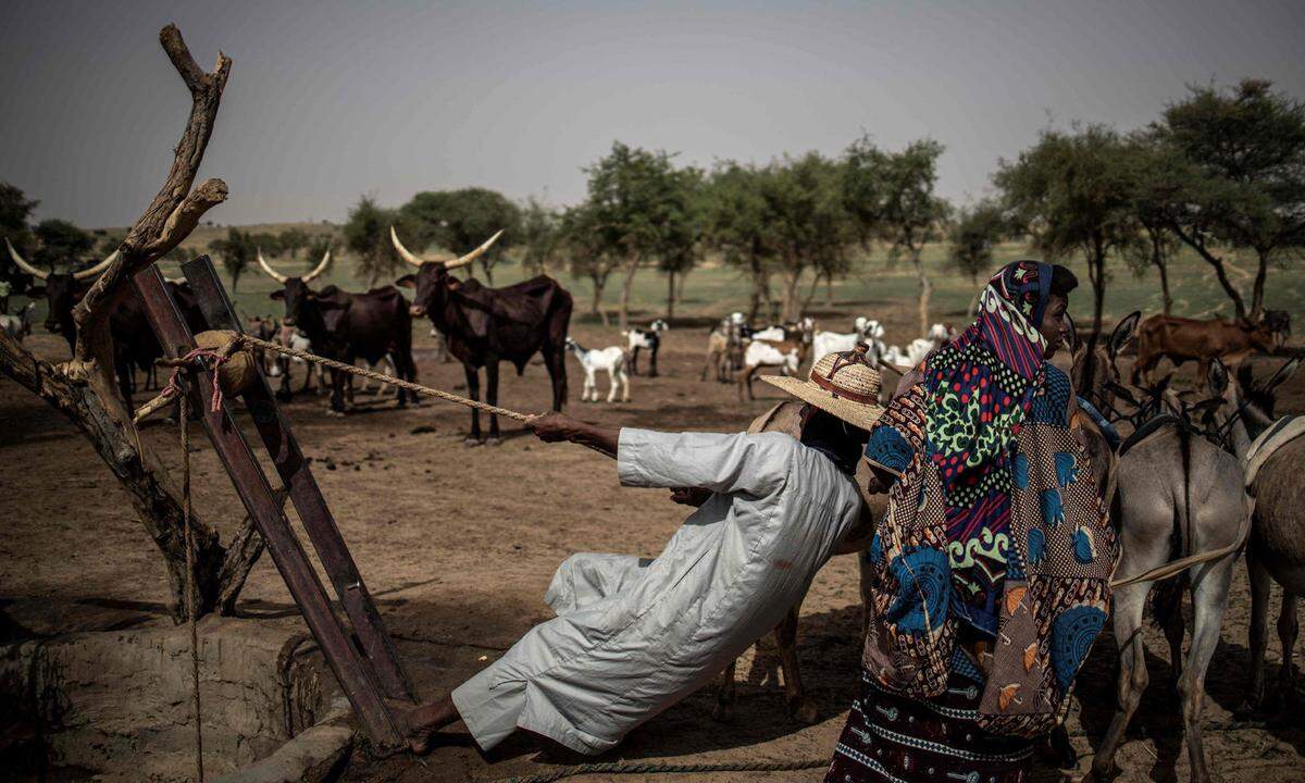 „Die Krise um den Tschadsee hat viele Gesichter“, schreibt Care in dem Bericht. Zehn Jahre schon dauert sie an und sorgt dafür, dass fast zehn Millionen Menschen in der Region am südlichen Rand der Sahara auf humanitäre Hilfe angewiesen sind. Armut, Hunger und die Islamistengruppe Boko Haram haben Millionen Menschen in die Flucht getrieben. Die Aufnahmegemeinden im Tschad stoßen an ihre Belastungsgrenzen. Hinzu kommt die Austrocknung des Tschadsees, der den Menschen als Lebensgrundlage diente. Heute ist der See als Folge von Klimawandel, ausbleibender Regenfälle und übermäßiger Nutzung auf ein Zehntel der ursprünglichen Fläche geschrumpft. Verunreinigtes Wasser, mangelnde Hygiene und niedrige Impfraten führen zu einer Ausbreitung von Krankheiten und Epidemien.