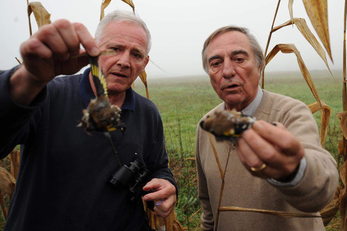 Um diese Tiere geht es eigentlich. Der Fink ist eine gefährdete Vogelart und muss geschützt werden, das ist gesetzlich geregelt. Und der Schutz ist ein großes Anliegen von Allain Bougrain-Dubourg (re.), dem Präsidenten der Vogelschutz-Liga (LPO) und seinem Mitstreiter. Doch ihre Mission in einem kleinen Dorf in Südwestfrankreich artete in einen Polizei-Einsatz aus.