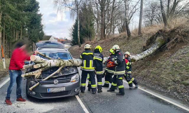 Fahrzeug im Bezirk Waidhofen an der Thaya: Ein Fahrzeug wurde von einem Baum getroffen .