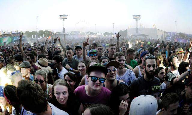 So sahen in den Vorjahren glückliche Festivalbesucher aus. Heuer muss das Publikum auf Großereignisse wie das Frequency verzichten.