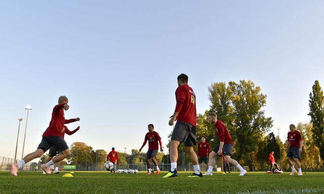 Für die ÖFB-Kicker wird es ernst: Wer schießt Österreich zur Euro 2020?