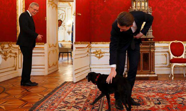 Der eine will spielen, der andere regieren: Alexander Van der Bellens Hund, Kita, begrüßte am Donnerstag Sebastian Kurz. 