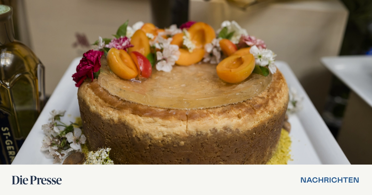 Cheesecake-Tasting-St-Germain-Marille-machte-das-Rennen