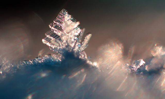 Eiskristall in Form eines Tannenbaums leuchtet in der Sonne.