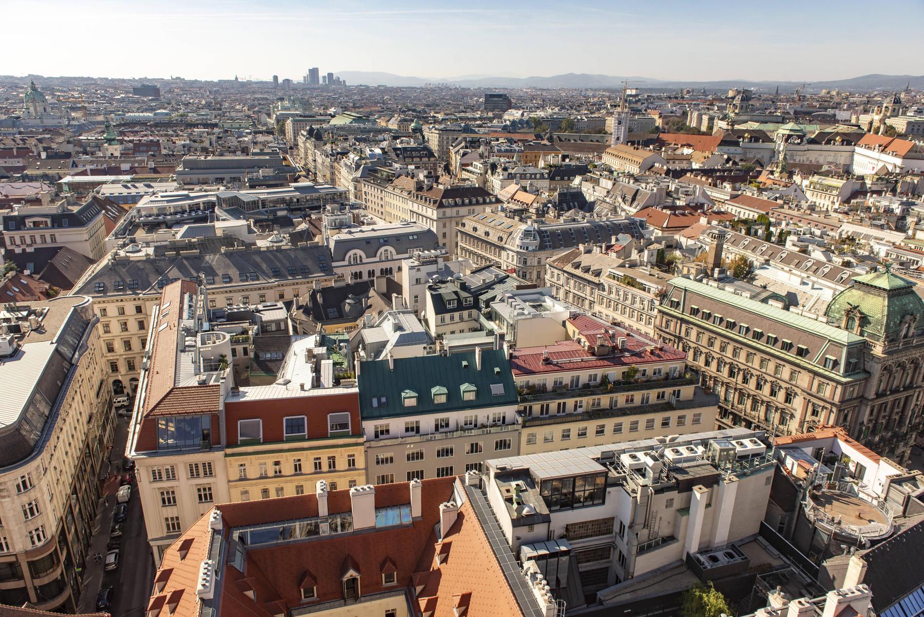 Subsidiator entitled to protection are primarily responsible for Vienna – Diepresse.com