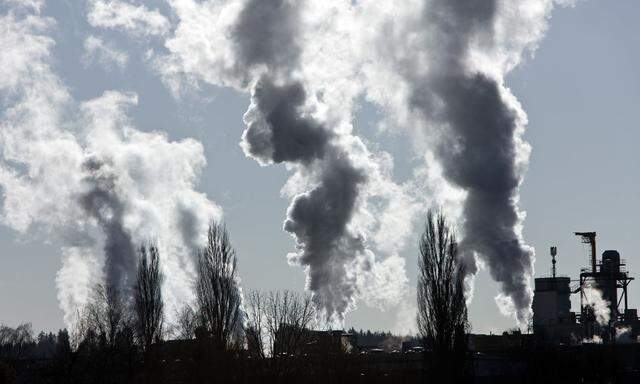 Belastung der Umwelt durch Industrieabgase