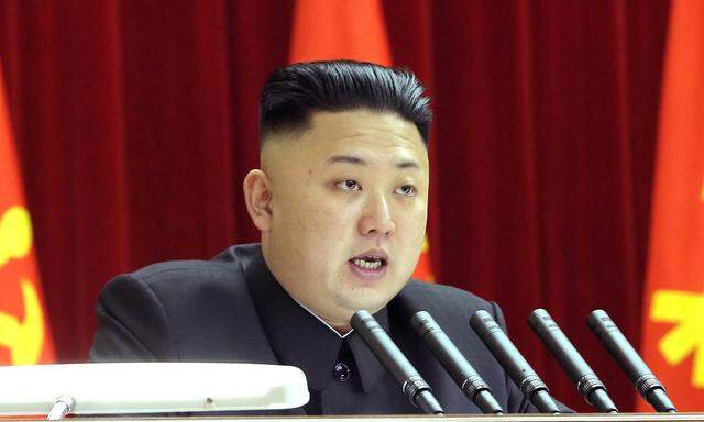 Nordkorea fordert Aufhebung UNSanktionen