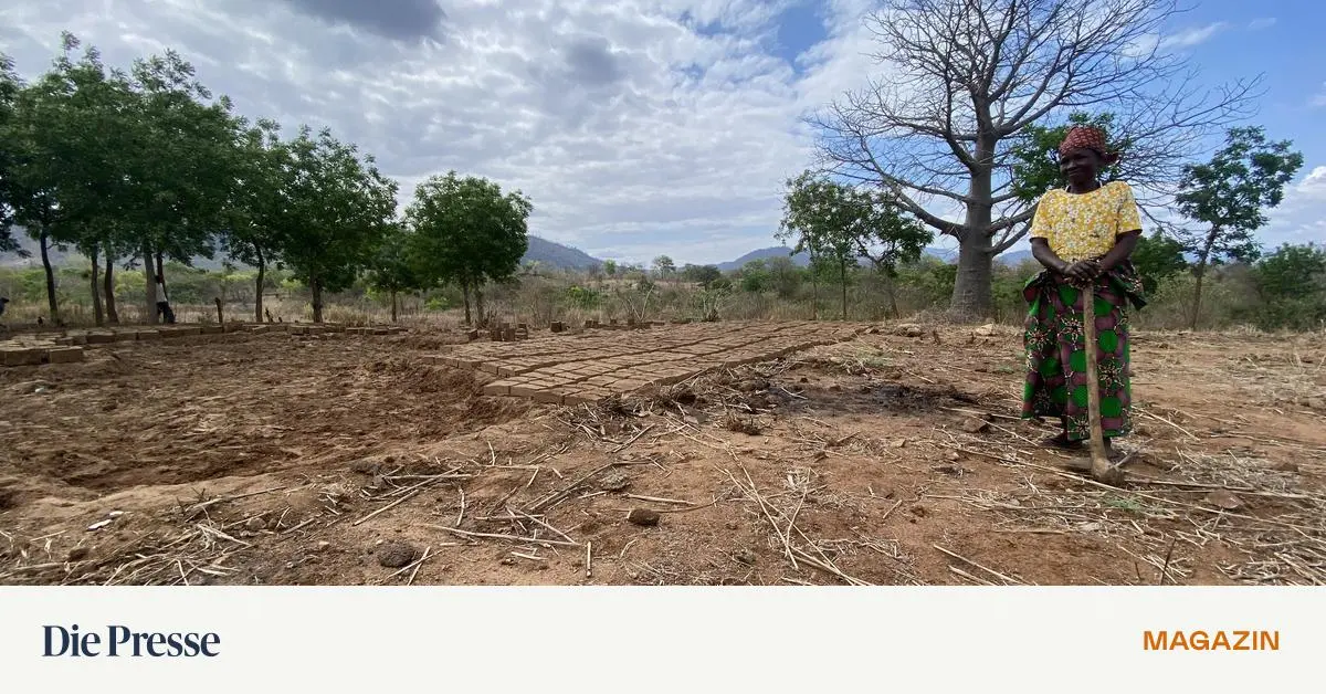 Wo-die-Flusspferde-vor-der-Flut-warnen