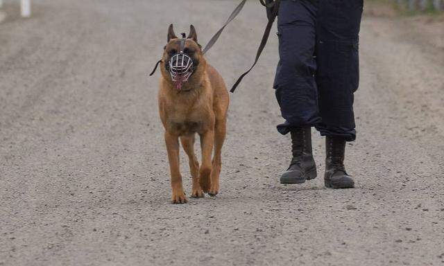 Symbolbild ungarische Polizei.