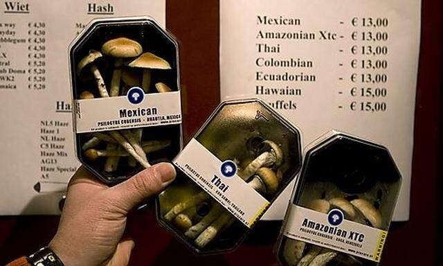 Magic Mushrooms Holland