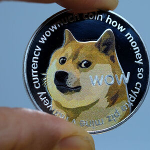 Dogecoin ist bei Spekulanten und Spaßvögeln beliebt.