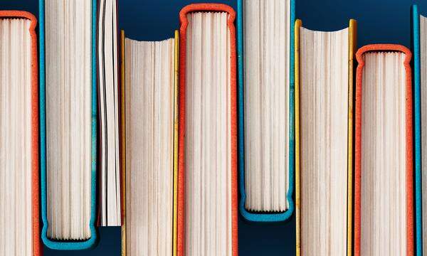 Input gesucht? Ausgewählte Bücher bieten Denkanstöße in der Bildungsdiskussion.