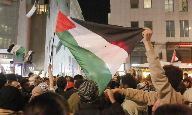 Am Mittwoch hat die Polizei eine propalästinensische Demonstration verboten, trotzdem versammelten sich zahlreiche Menschen am Stephansplatz.
