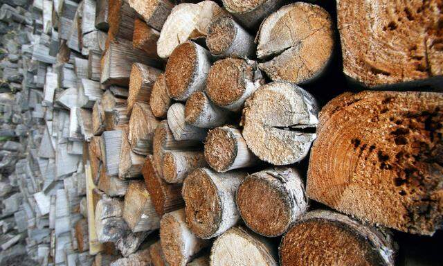 Holzstoss - pile of wood