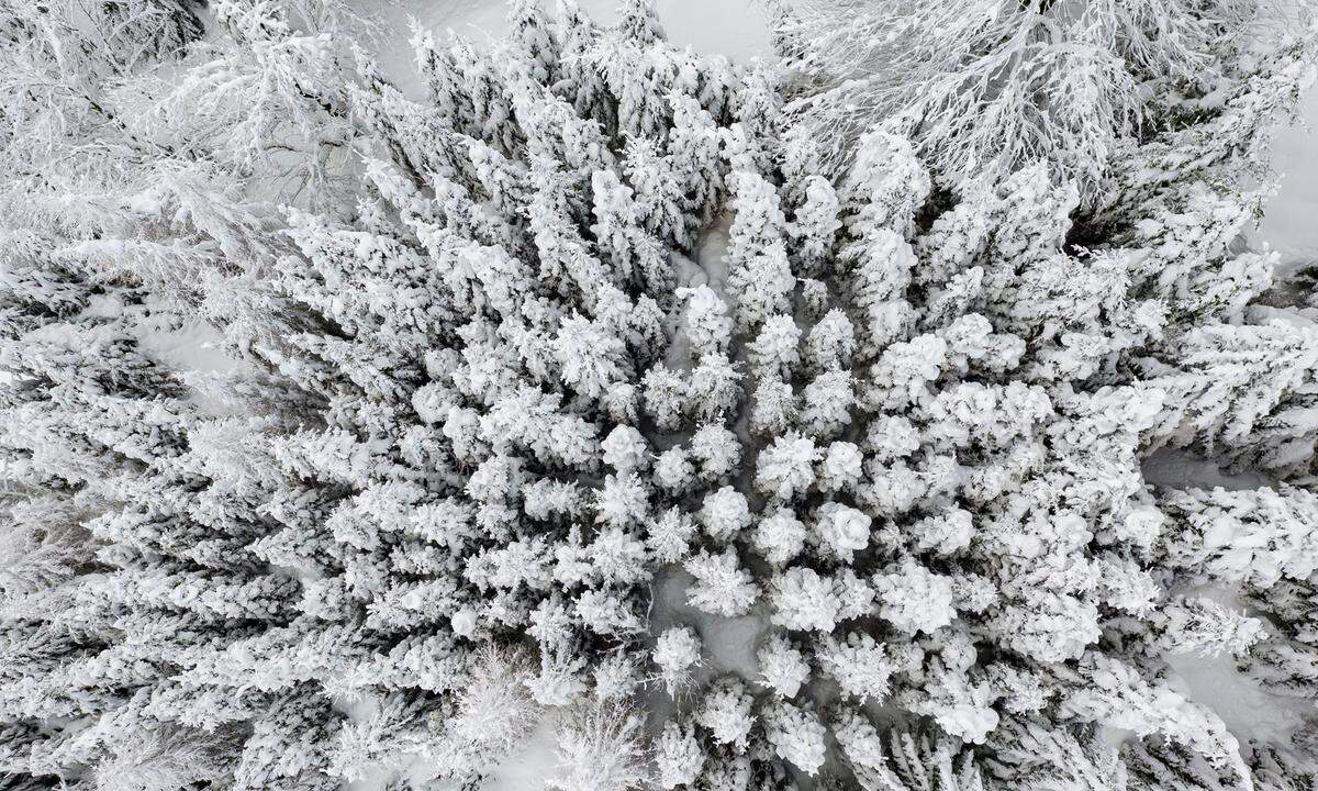 Von gesperrten Straßen einmal abgesehen - still und friedlich wirkt diese Luftaufnahme eines beschneiten Waldes.