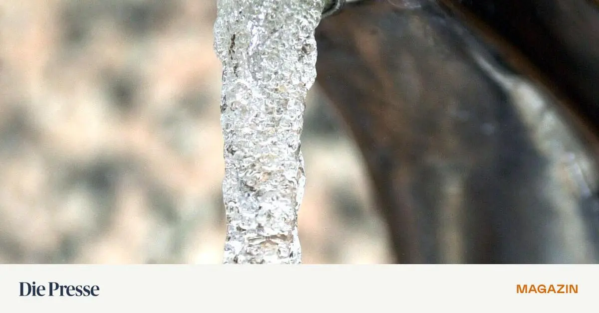 Kann-der-Mietvertrag-gek-ndigt-werden-wenn-man-das-Wasser-nicht-abdreht-premium-
