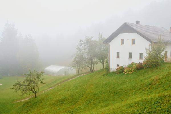 Die Brunarica Grič baut Gemüse selbst an, zum Teil im Glashaus.