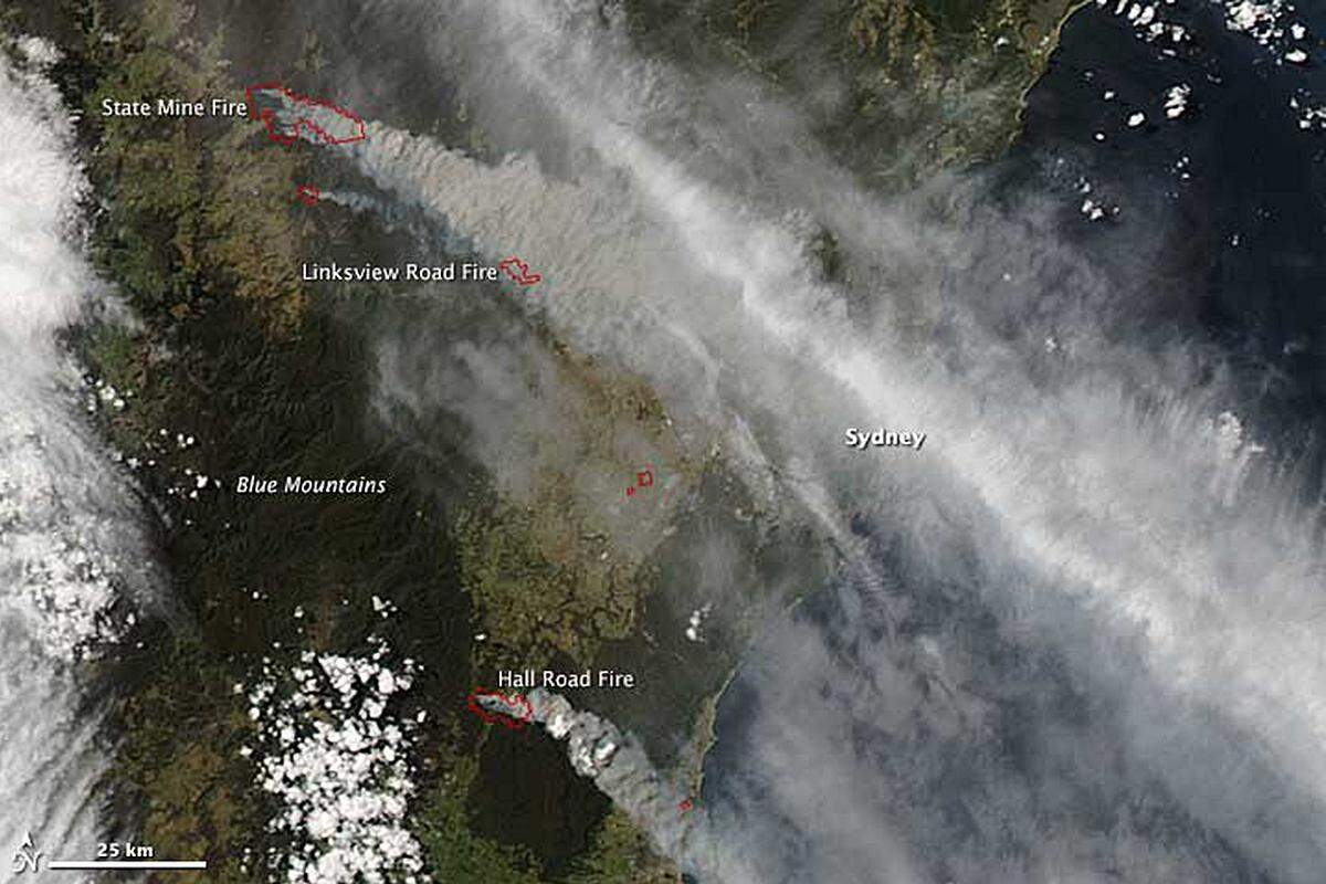 Vergangenen Donnerstag musste wegen der Brände sogar der Flughafen Sydney vorübergehend geschlossen werden: Rauchschwaden zogen über die Millionenmetropole und trübten das Licht. "Der Himmel ist dunkel, die Sonne leuchtet orange durch den schwarzen Rauch", berichtete ein Einwohner.