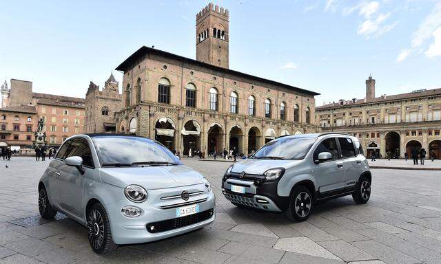 Der Fiat 500 (li.) und der Fiat Panda sind die Bestseller von Fiat
