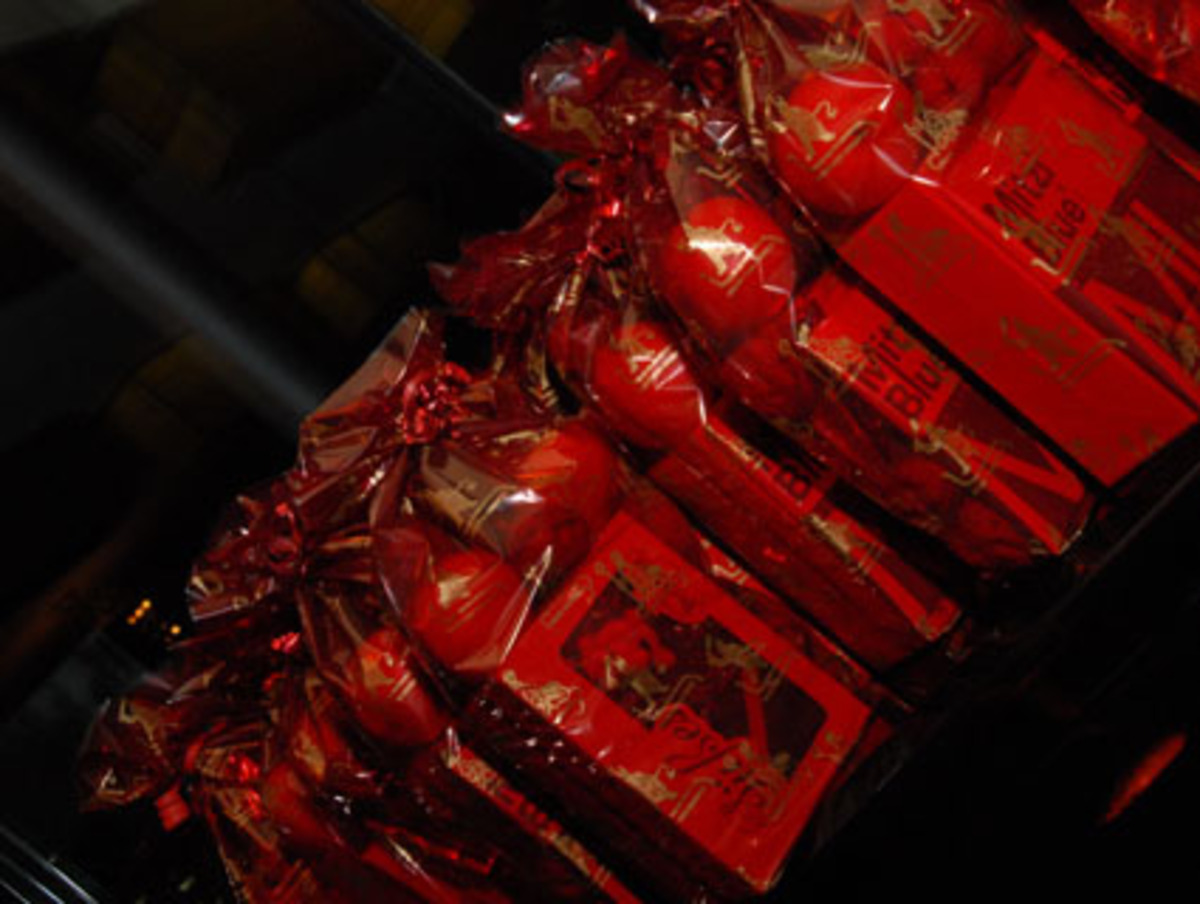 Traditionell kam beim letzten KarriereTalk auch der Krampus und brachte Säckchen für die Gäste.