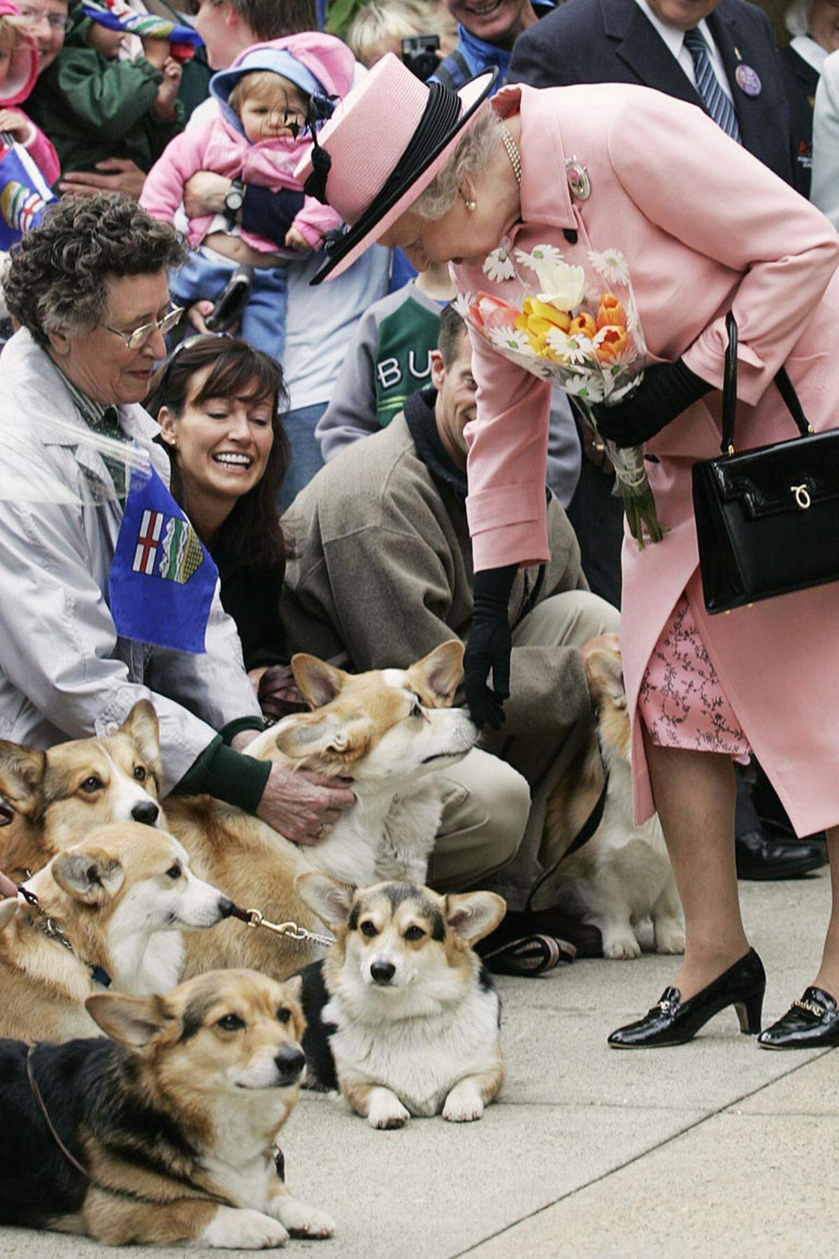 Auch die Fütterung der Corgis ist protokollarisch streng geregelt, wie Hundetrainer und Verhaltensforscher Roger Mugford dem "Town &amp; Country Magazine" erzählte. Jedes der Tiere bekommt ein speziell auf seine Bedürfnisse zugeschnittenes Menü, frisch zubereitet von einem eigenen Koch. Ein Butler serviert die fertigen Hundemahlzeiten in edlen Silber- und Porzellannäpfen. Corgi-Fans unter sich: Queen Elizabeth bewundert  Exemplare ihrer Lieblingsrasse bei einem Besuch im kanadischen Edmonton, 24. Mai 2005.