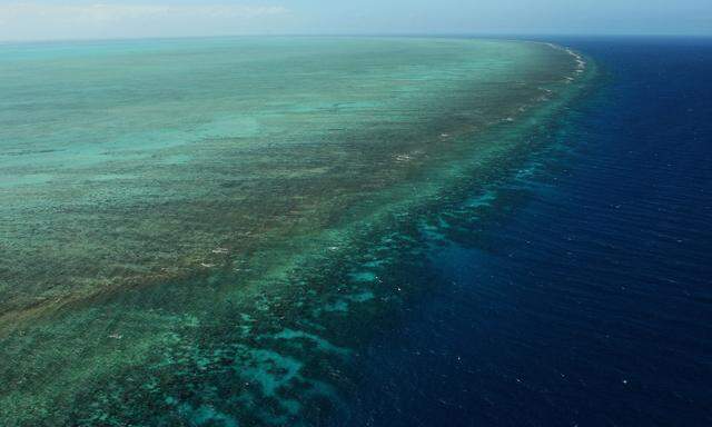 Der Klimawandel ist der Hauptverdächtige für das Korallensterben im Great Barrier Reef 