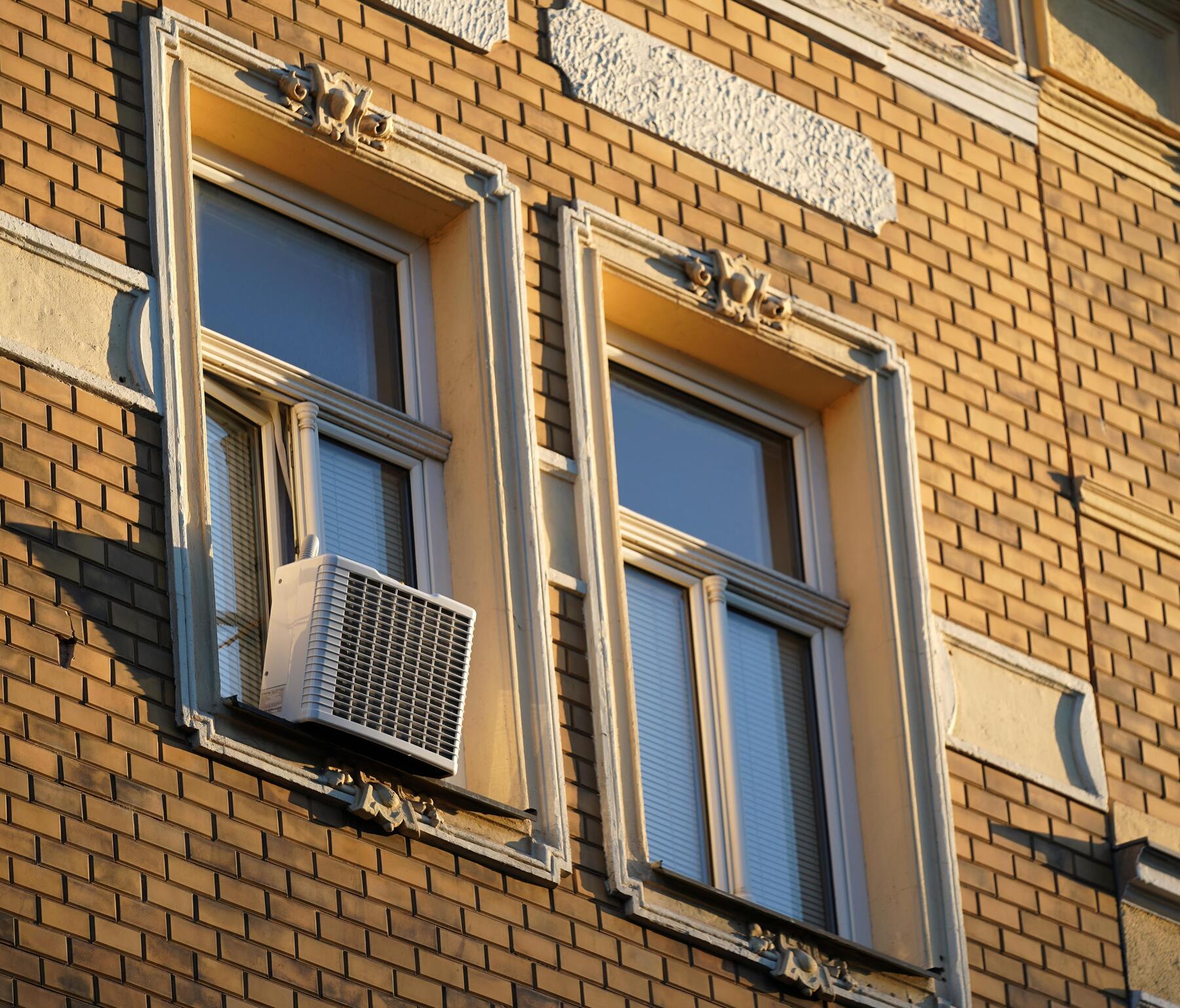 The Coolest Continent is the World Champion of Heat Deaths