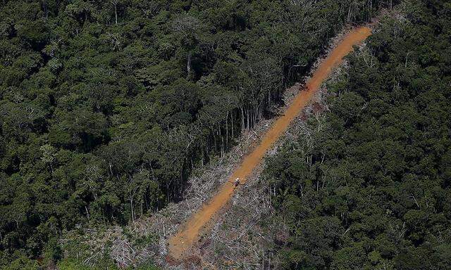 Im Amazonas-Gebiet ist illegaler Goldabbau ein großes Problem.