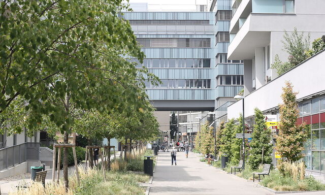 Der Exenbergerweg ist ein beliebter Treffpunkt von Alkohol- und Drogensüchtigen.