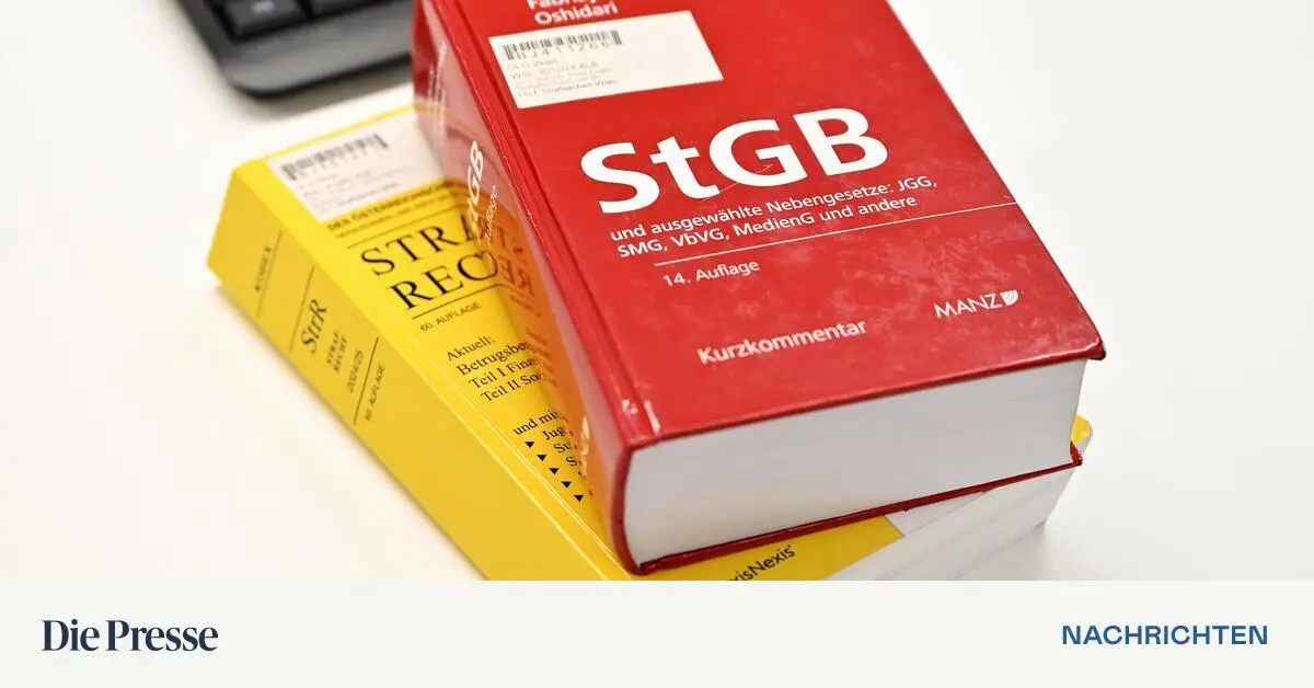 Missbrauchsvideos-ins-Darknet-gestellt-Prozess-gegen-K-rntner-Babysitter-startet