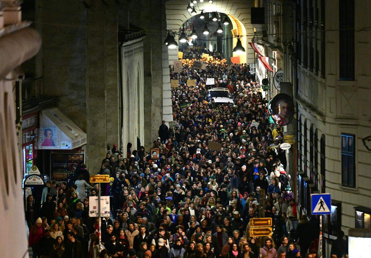 Demonstration in the city of Vienna. 