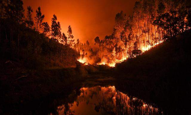 Feuersbrunst in portugiesischen Wäldern: Szene bei der Ortschaft Penela im Bezirk Coimbra.