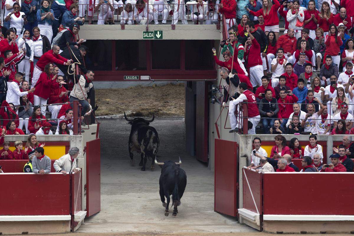 Seit 1900 kamen 15 Personen bei der Mutprobe ums Leben. Im Jahr 2009 wurde ein 27-jähriger Spanier vor den Augen zahlreicher Touristen von einem Stier aufgespießt, er erlag später seinen Verletzungen.