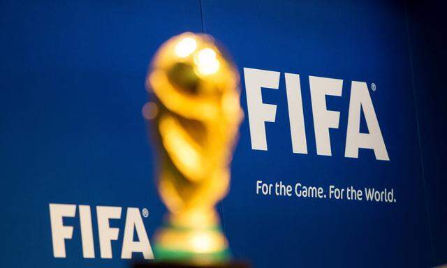 FUSSBALL - FIFA WM 2014, Vorberichte