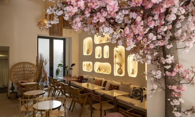 Pizzeria Wolke in der Alserbachstrasse 33