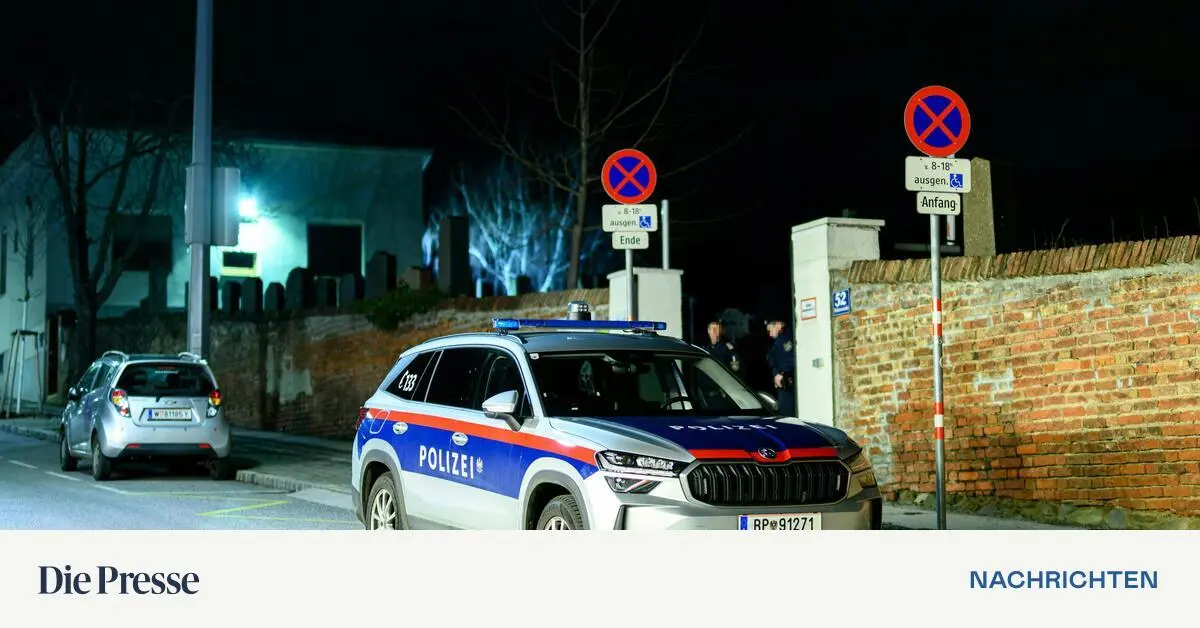 frau-auf-friedhof-get-tet-14-j-hrige-zurechnungsf-hig