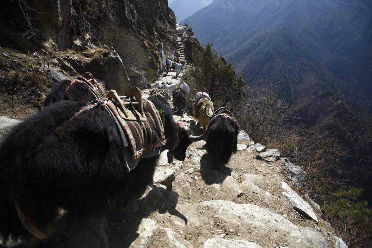 Nach Angaben der Tourismusbehörde beantragen zunächst 14 Mannschaften eine Erlaubnis zur Besteigung des höchsten Bergs der Welt.