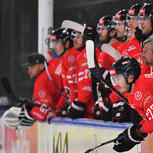 Österreichs Eishockey-Team