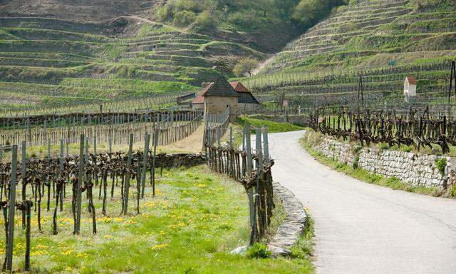 Oesterreich, NIederoesterreich, Wachau, alte Wachauerstrasse