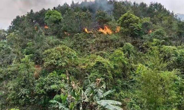 Der Flugzeugabsturz löste einen Waldbrand im Kreis Teng in Südchina aus.