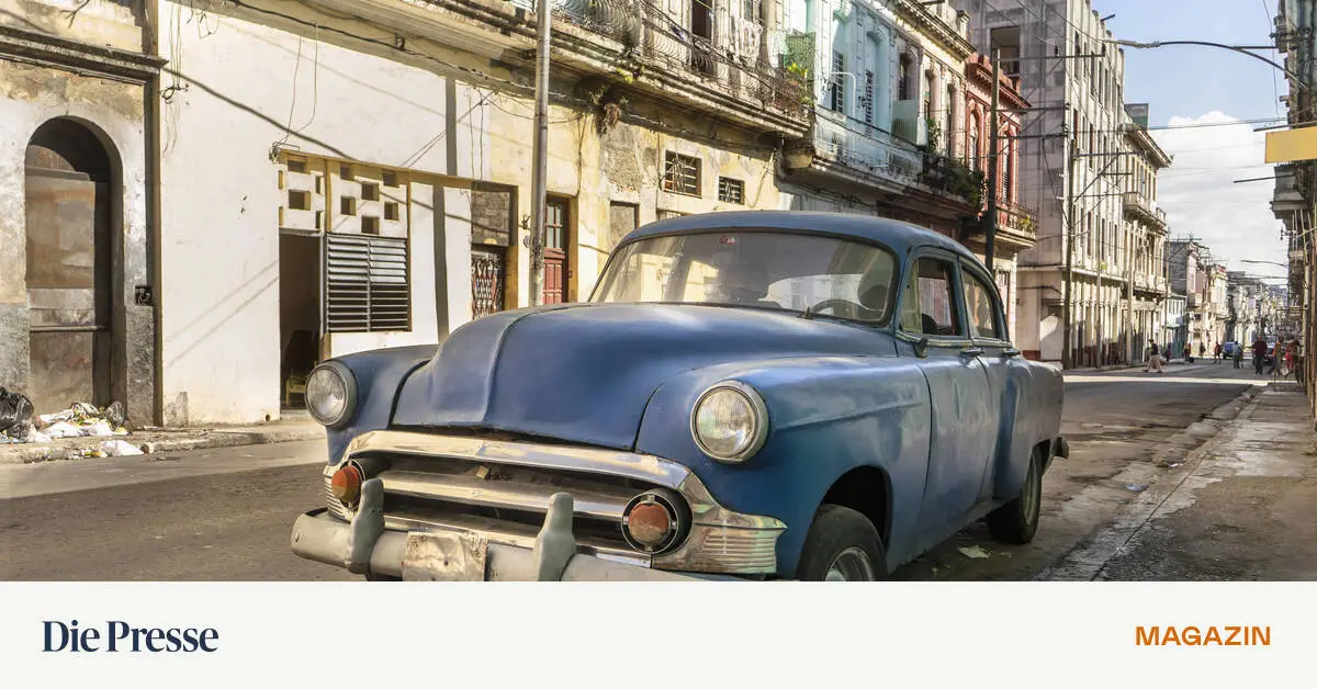 Das-Spectrum-R-tsel-Zur-Genie-Gattin-nicht-geeignet-premium-