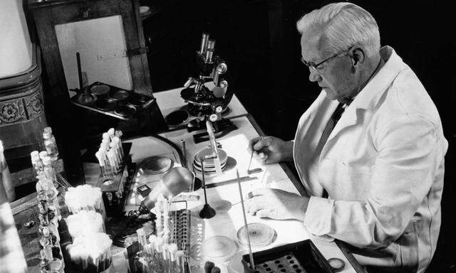 Vor 80 Jahren entdeckte Alexander Fleming das Penicillin – ohne es gesucht zu haben.