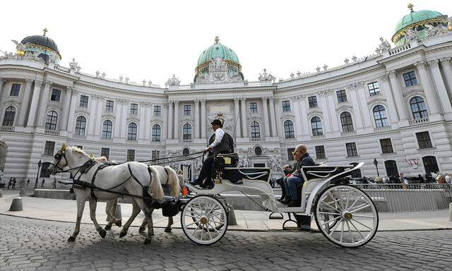 Für die einen gehören Fiaker zum Stadtbild, andere sehen Probleme darin.