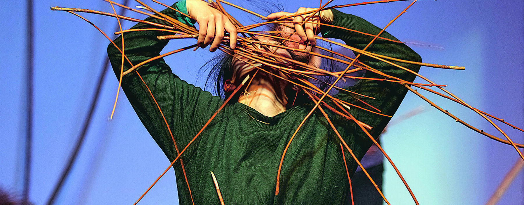 Isabelle Schad „HARVEST“