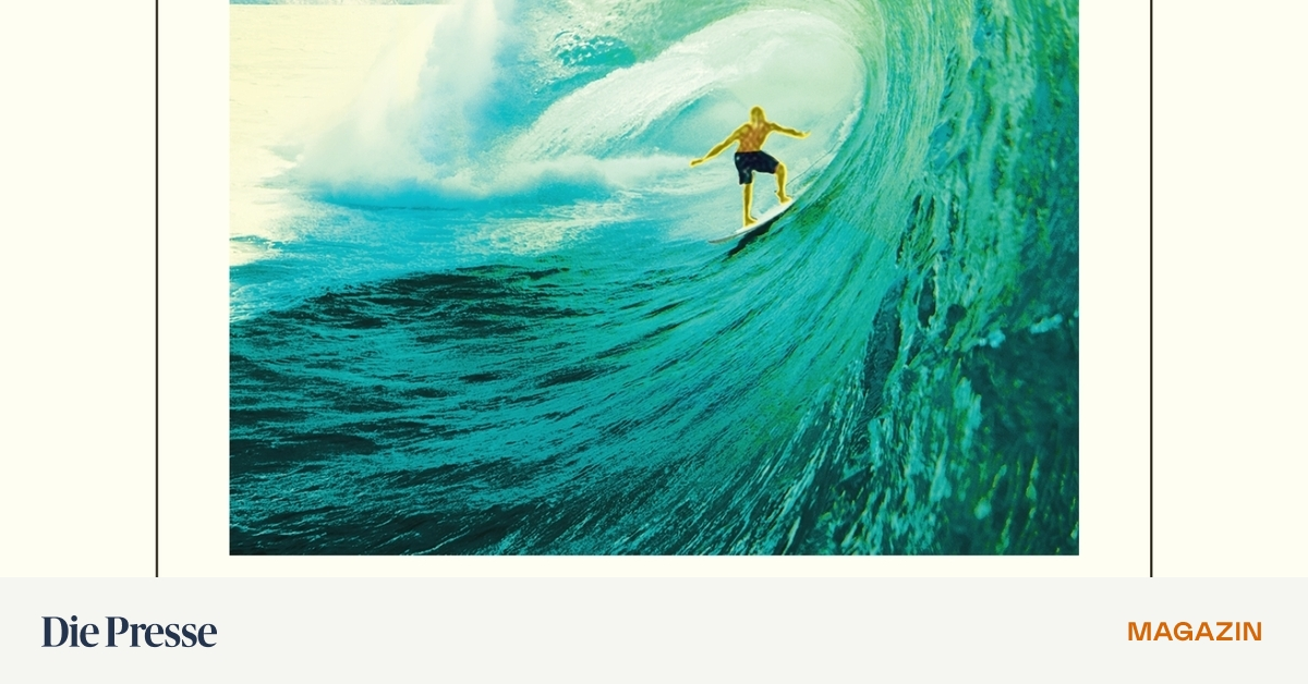 -Heaven-s-Gate-Der-surfende-Detektiv-im-Drogenkrieg-premium-