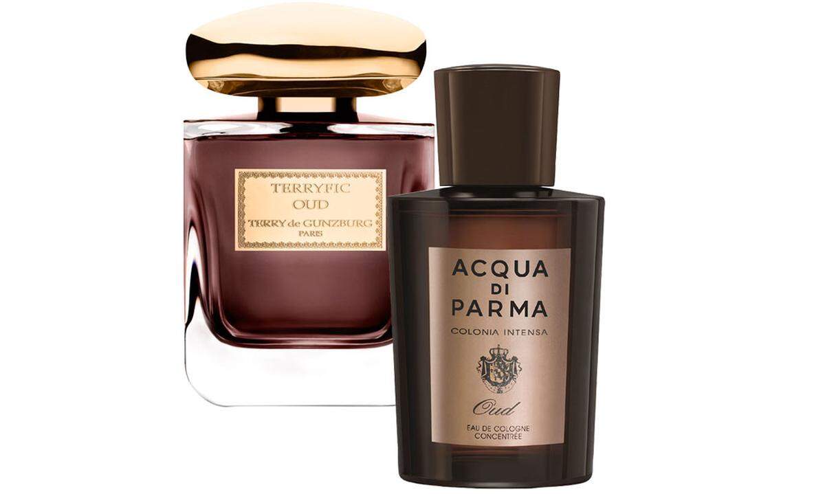 Nach dem kostbaren Adlerholz-Harz duften "Colonia Intensa Oud" von Acqua di Parma (100ml um 160 €) und "Terryfic Oud" von Terry de Gunzburg (100ml um 165 €, exklusiv bei Douglas).