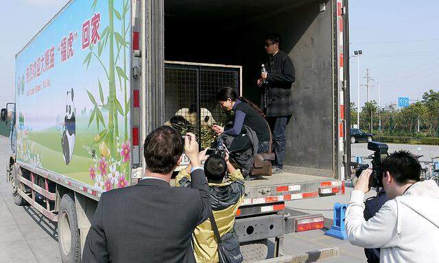 Fu Hu bei seiner Ankunft in China.