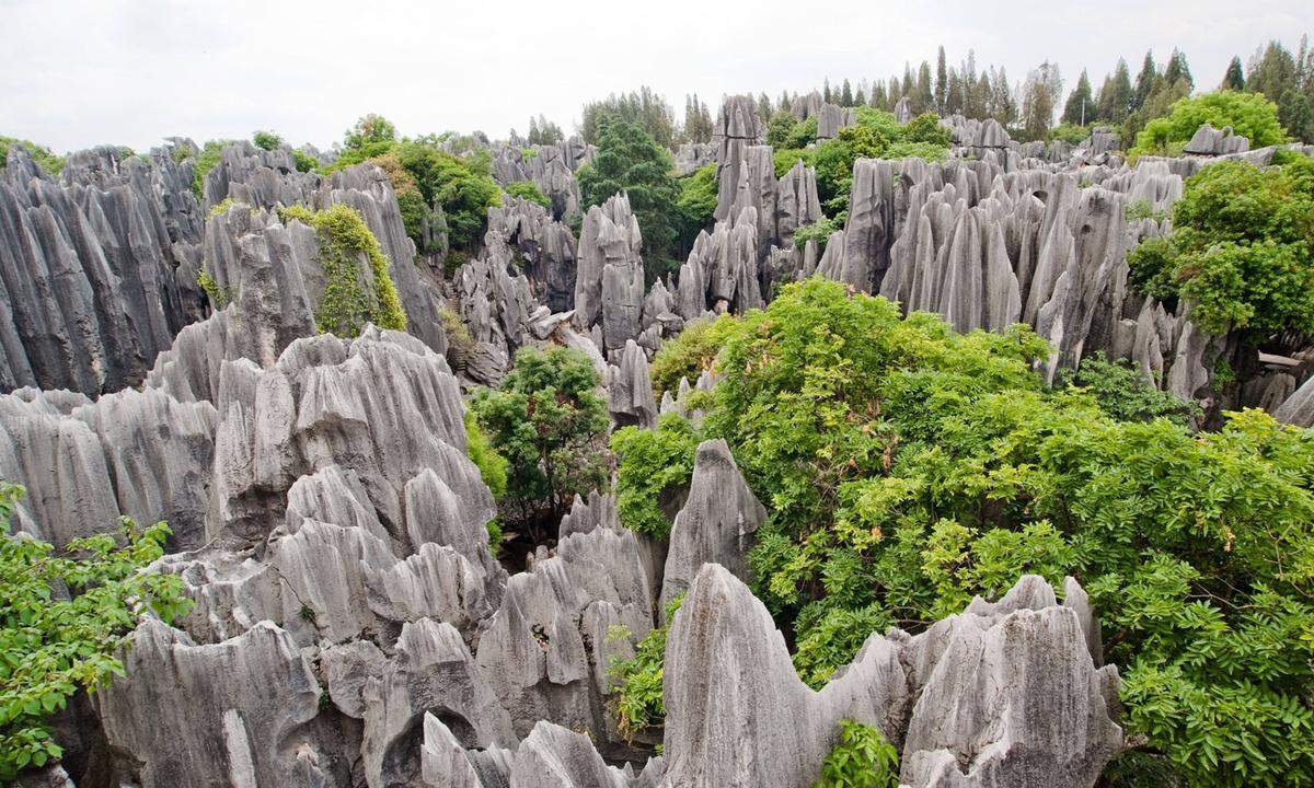 Den Steinwald von Shilin ist eine etwa 120 km von Kunming gelegene Karstlandschaft. Hier sind durch das Ausspülen des Steins bis zu 30 Meter hohe Skulpturen entstanden, die die UNESCO als eines der bemerkenswertesten Naturphänomene der Welt anerkannt hat.